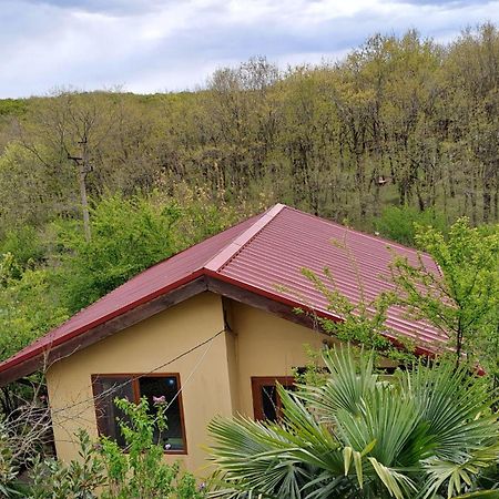 Yellow Villa Sinemoretz Εξωτερικό φωτογραφία